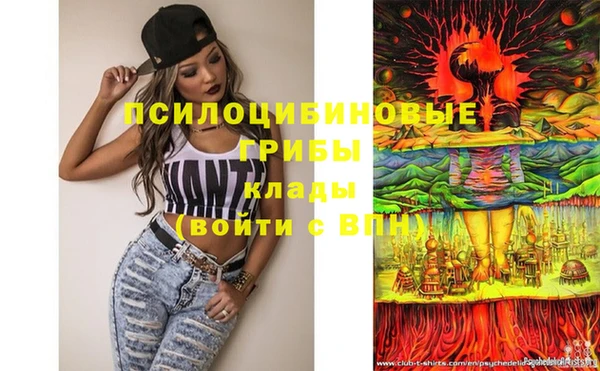 эйфоретик Бородино