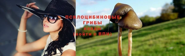 эйфоретик Бородино