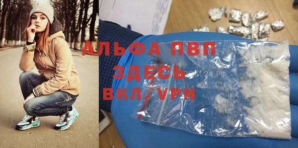эйфоретик Бородино